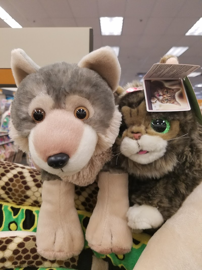 Books-A-Million photo 3