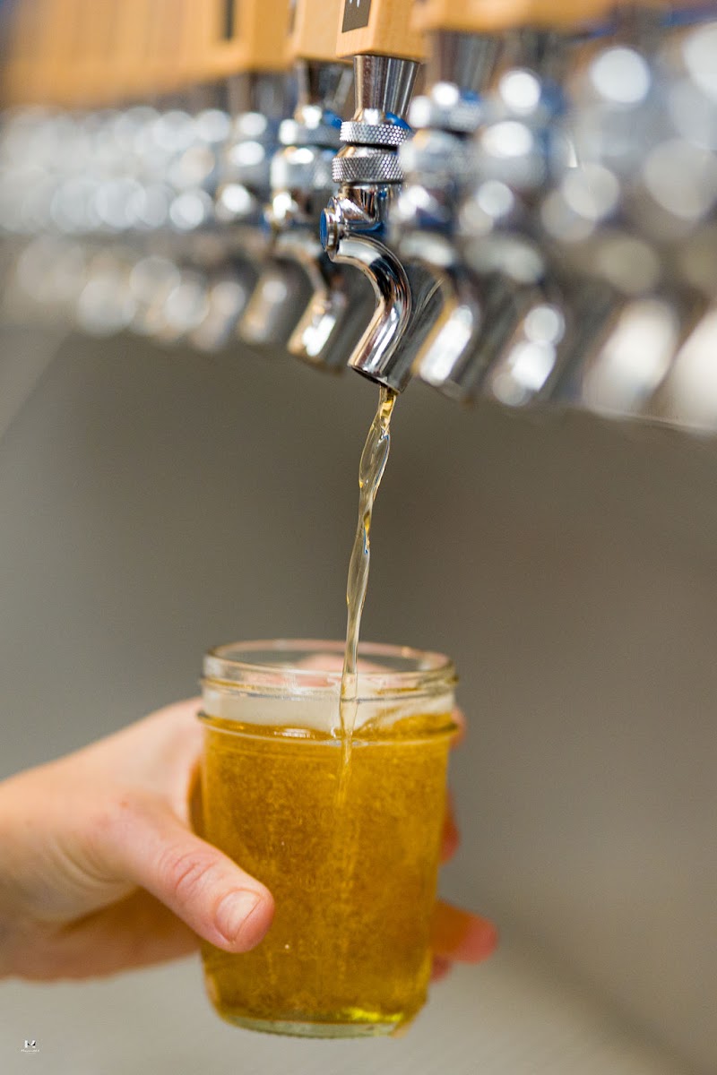 Photo of Blue Lagoon Brewing Co.