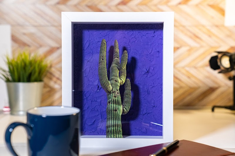POPS Art by Casey James photo 5