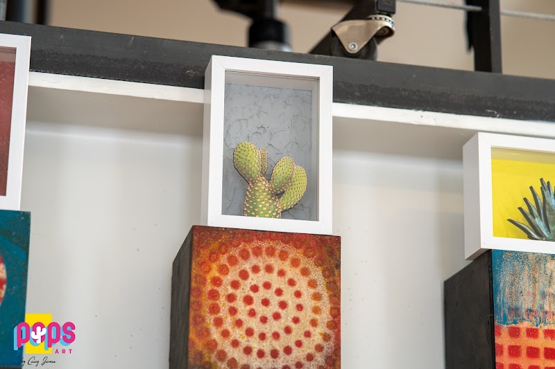 Photo of POPS Art by Casey James