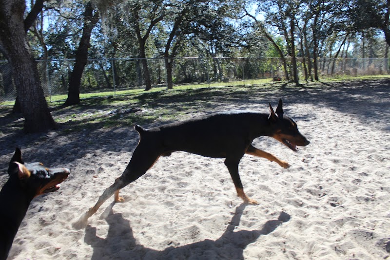 Unique Dog Boarding, Inc photo 2