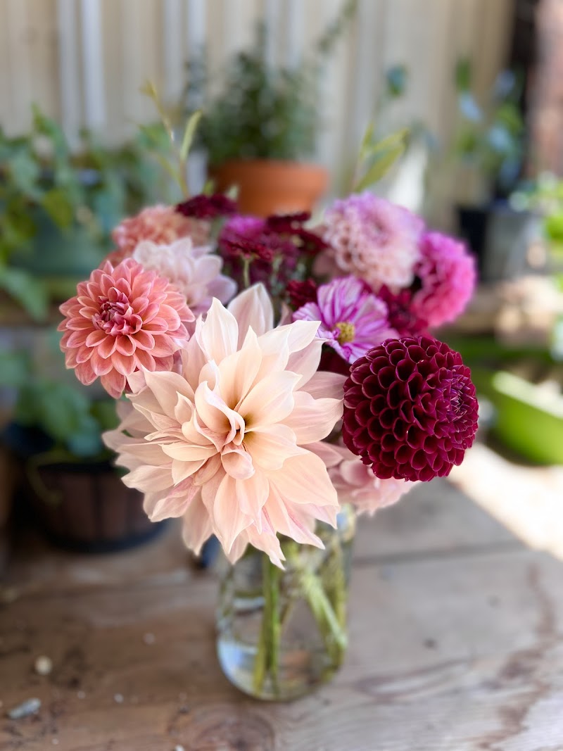 The Bountiful Valley - Flower Farm photo 3