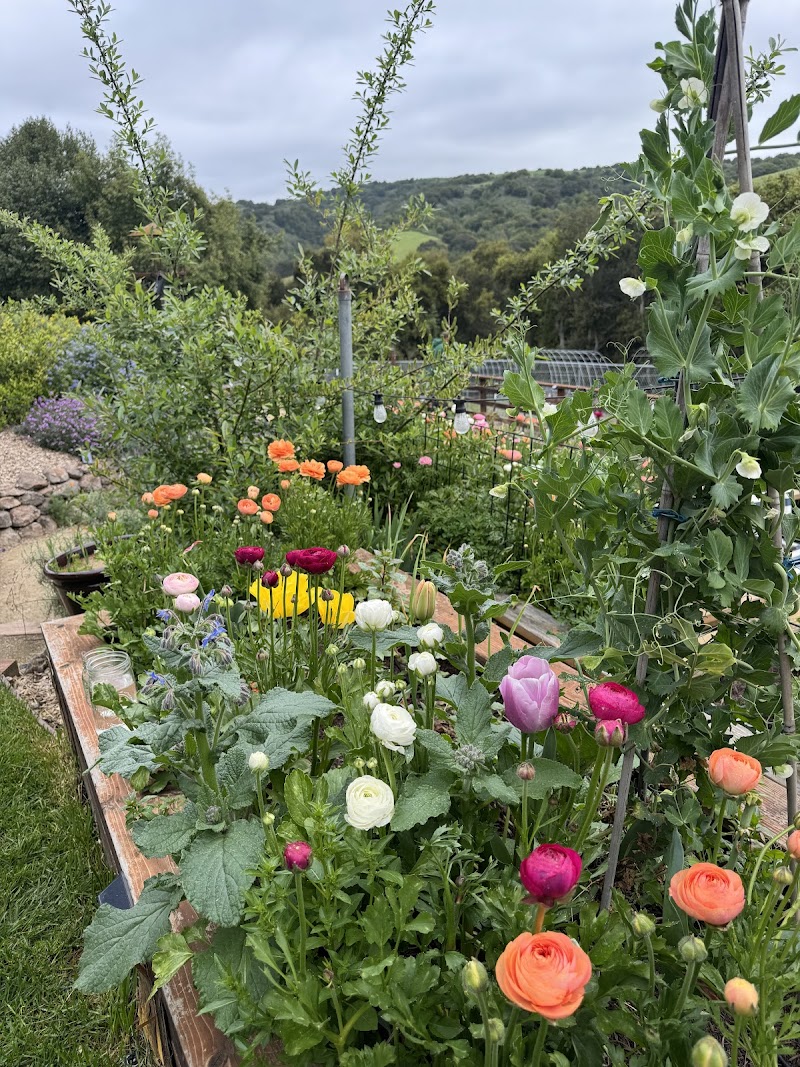 The Bountiful Valley - Flower Farm photo 5