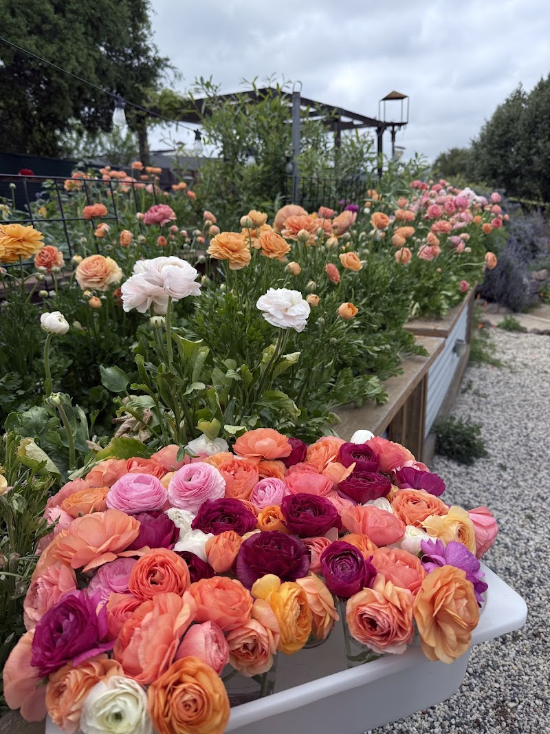The Bountiful Valley - Flower Farm photo 4