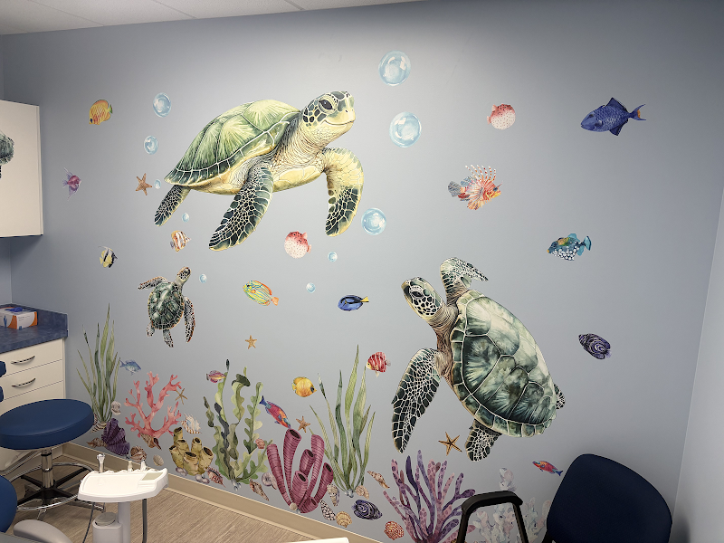 Little Fins Pediatric Dentistry photo 4