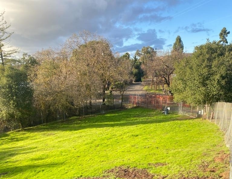 Photo of Hillside Meadow Sniff Spot - Off leash private dog park