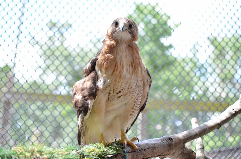 Photo of Back to Nature Wildlife Refuge