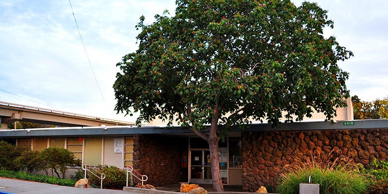 El Cerrito Library - Contra Costa County Library photo 4