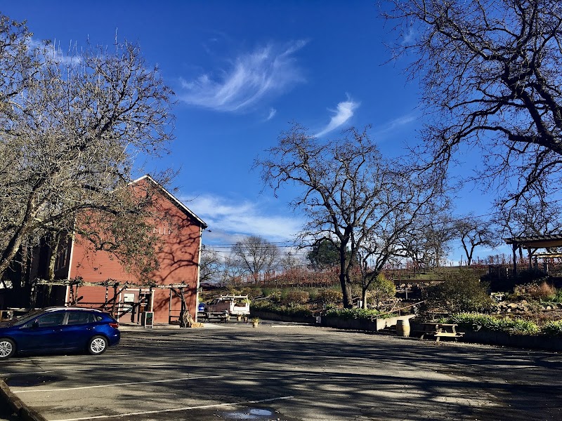 Martinelli Vineyards & Winery photo 4