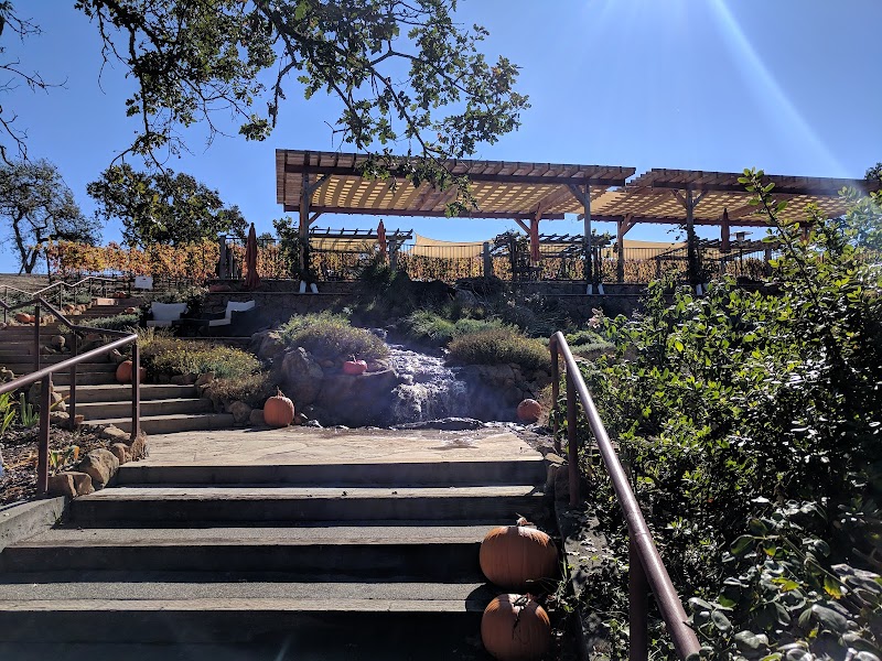 Martinelli Vineyards & Winery photo 3