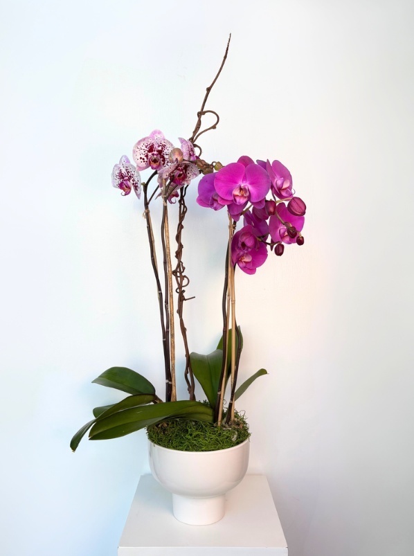 Studio Petall Flora Gifts & Flower Delivery photo 3