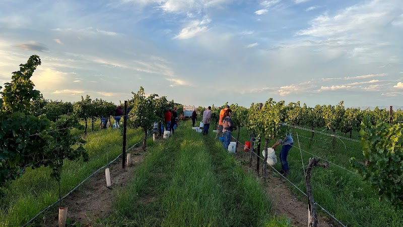 Bodega Pierce Vineyard & Tasting Room photo 5