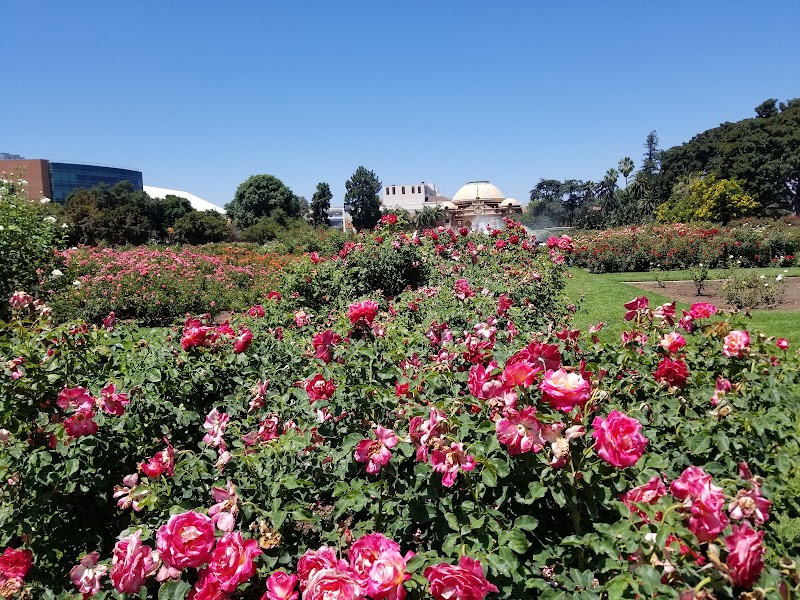 Photo of Exposition Park Rose Garden