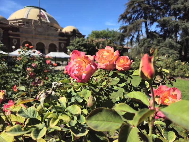 Exposition Park Rose Garden photo 2