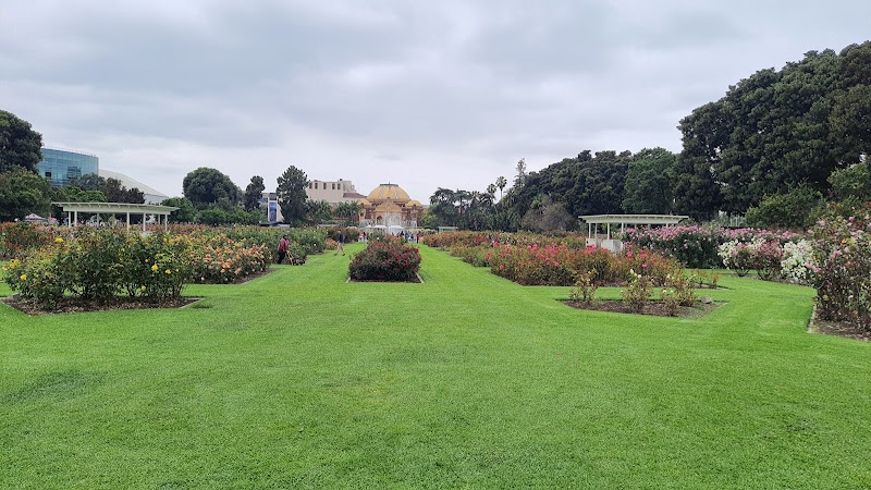 Exposition Park Rose Garden photo 4