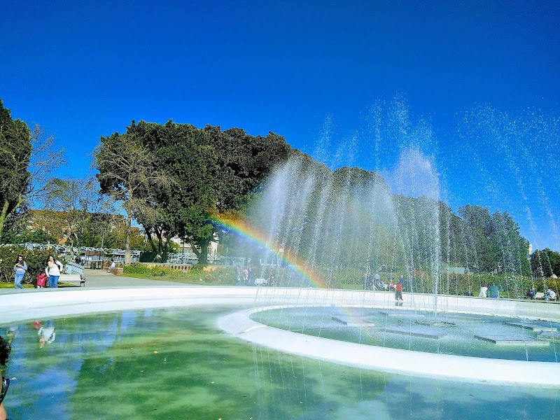 Exposition Park Rose Garden photo 3