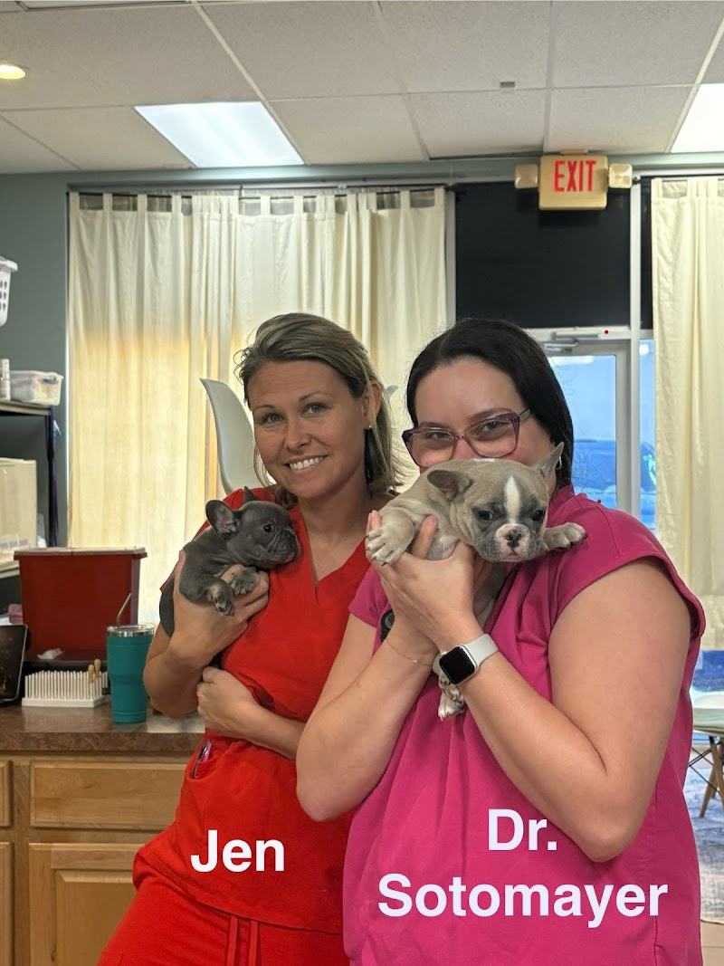 Photo of Silverthorn Animal Clinic