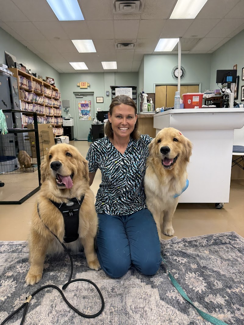 Silverthorn Animal Clinic photo 4