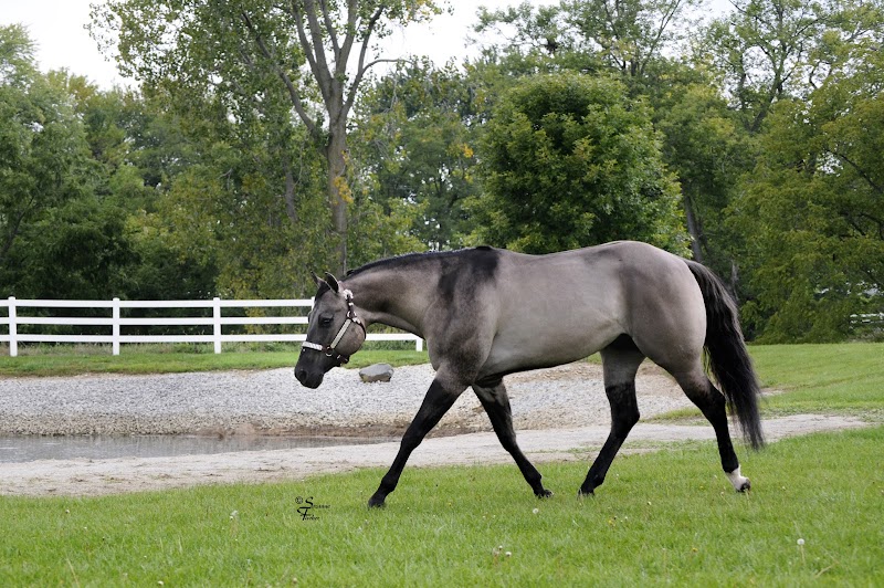 Dynamic Breeze photo 2
