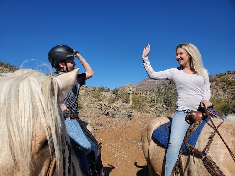 Don Donnelly's D Spur Ranch and Riding Stable photo 2