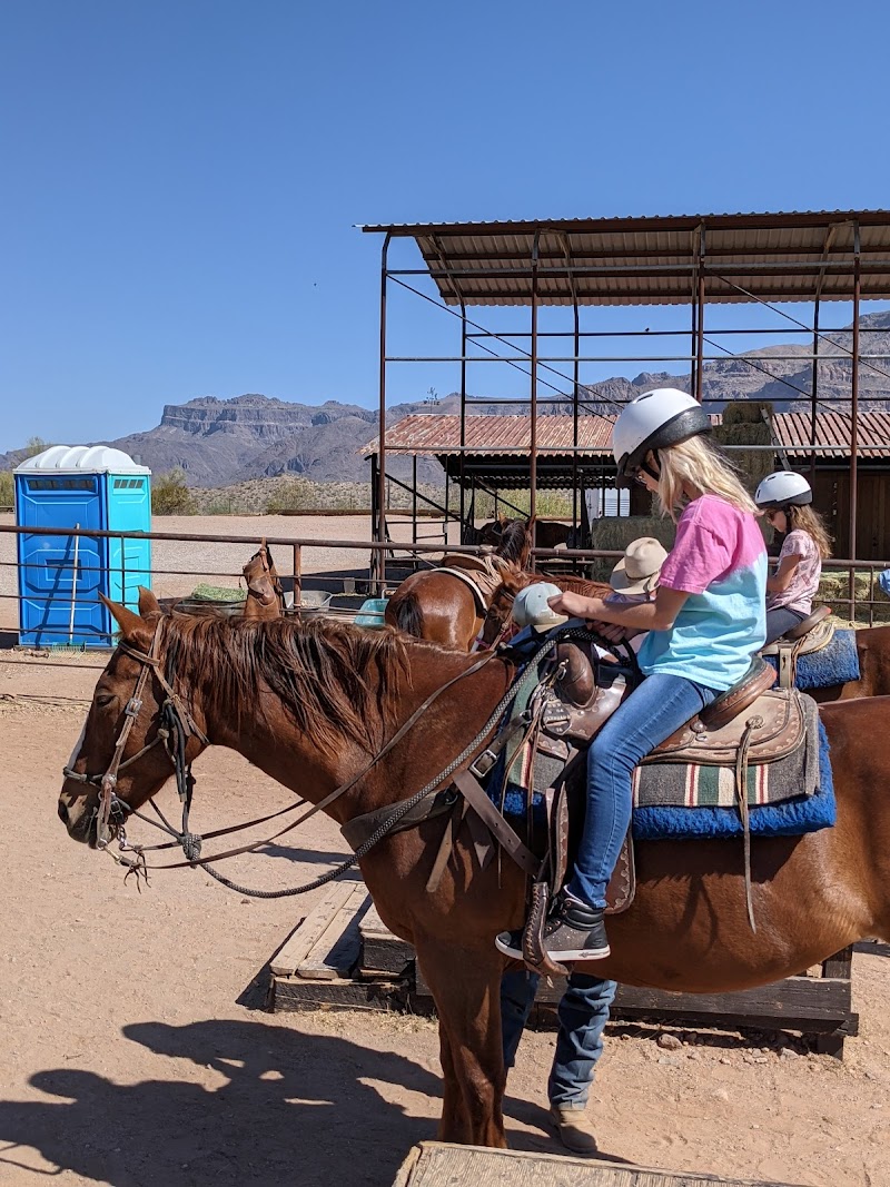 Don Donnelly's D Spur Ranch and Riding Stable photo 3