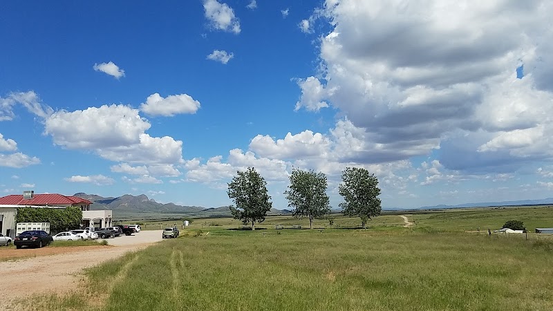 Sonoita Vineyards photo 3