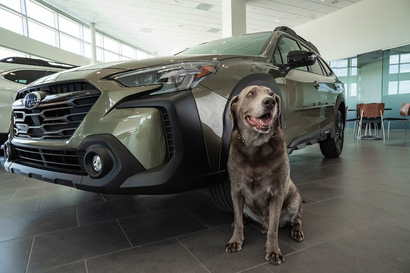 Subaru of Wesley Chapel photo 5