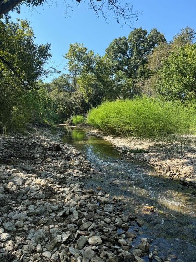 Vivian J. Malone Preserve - Texas Land Conservancy photo 5
