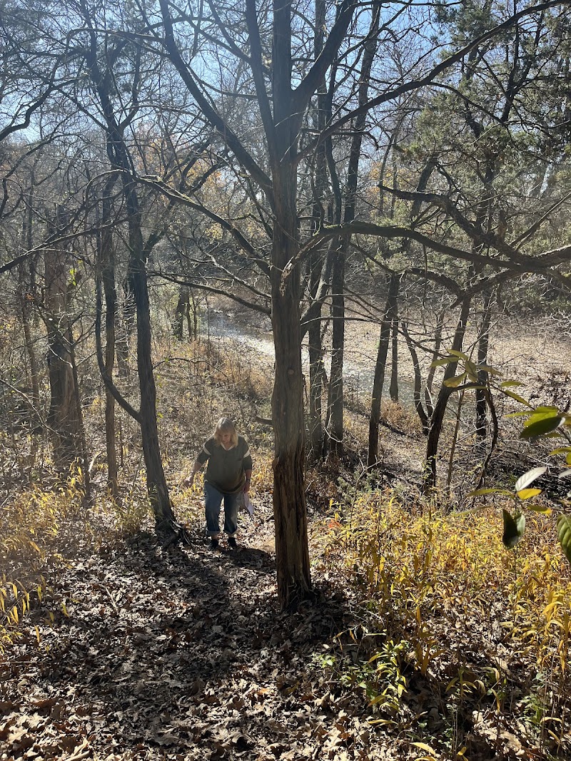 Vivian J. Malone Preserve - Texas Land Conservancy photo 4