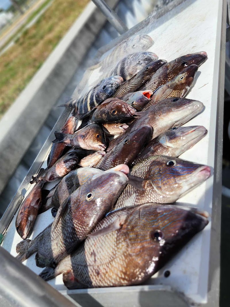 Barefoot Fishing Charters photo 2
