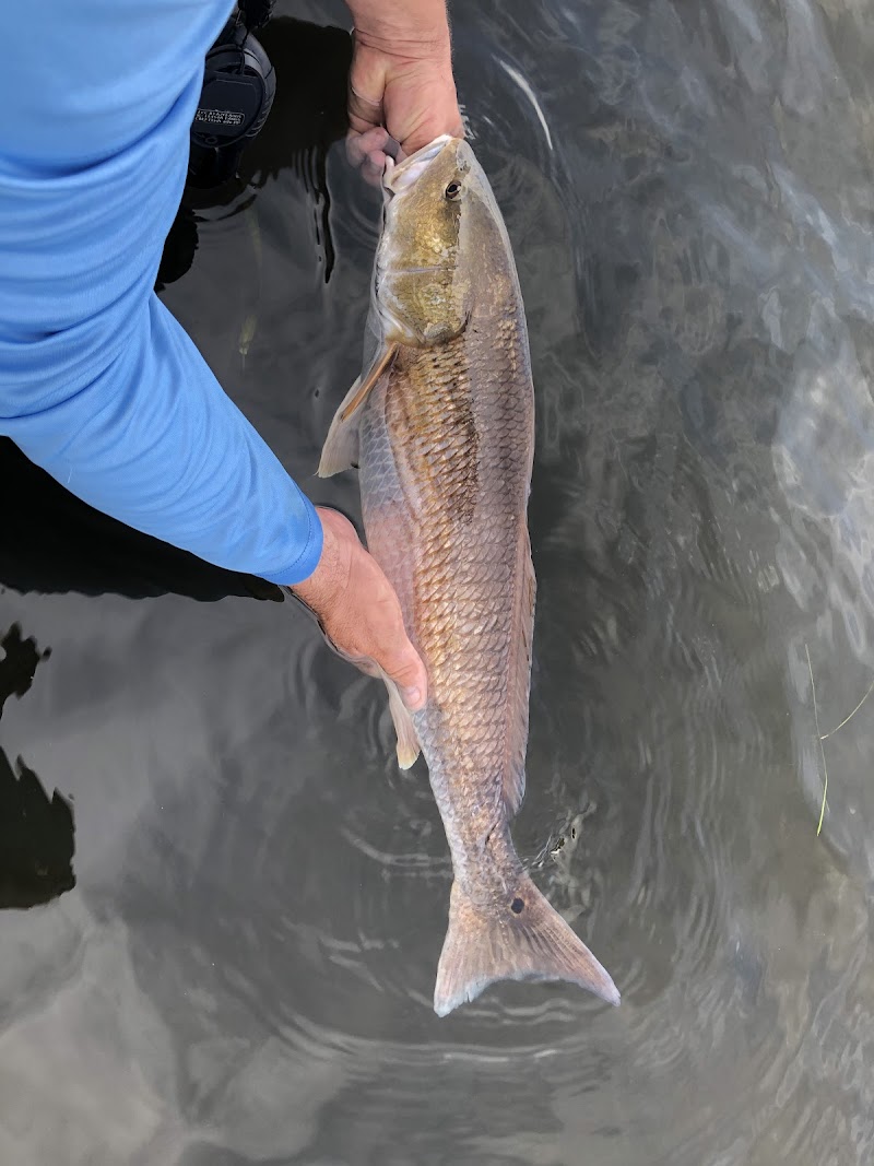 Barefoot Fishing Charters photo 4