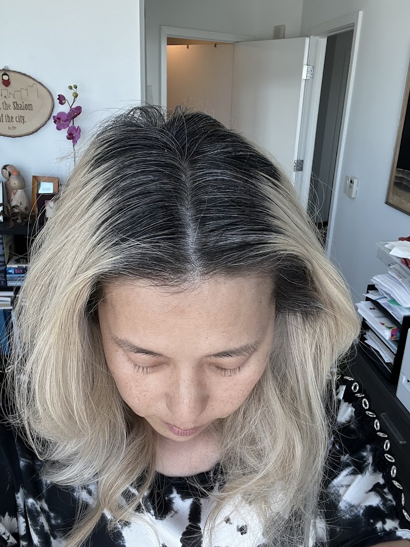 Modern Salon photo 5