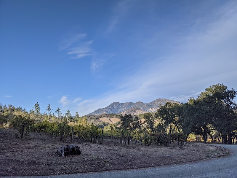 Storybook Mountain Winery photo 5