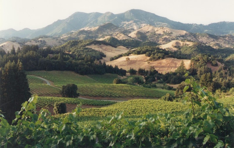 Photo of Storybook Mountain Winery