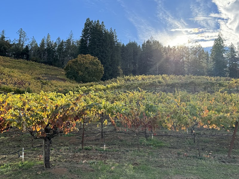 Storybook Mountain Winery photo 3
