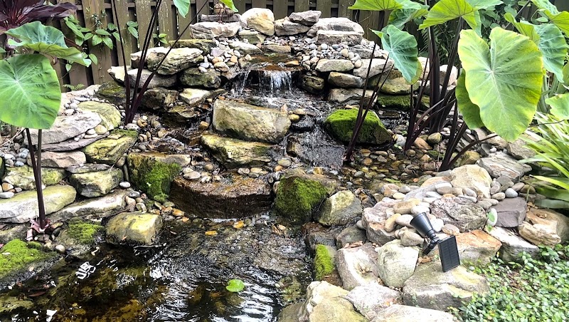 Photo of Koi Kompanion