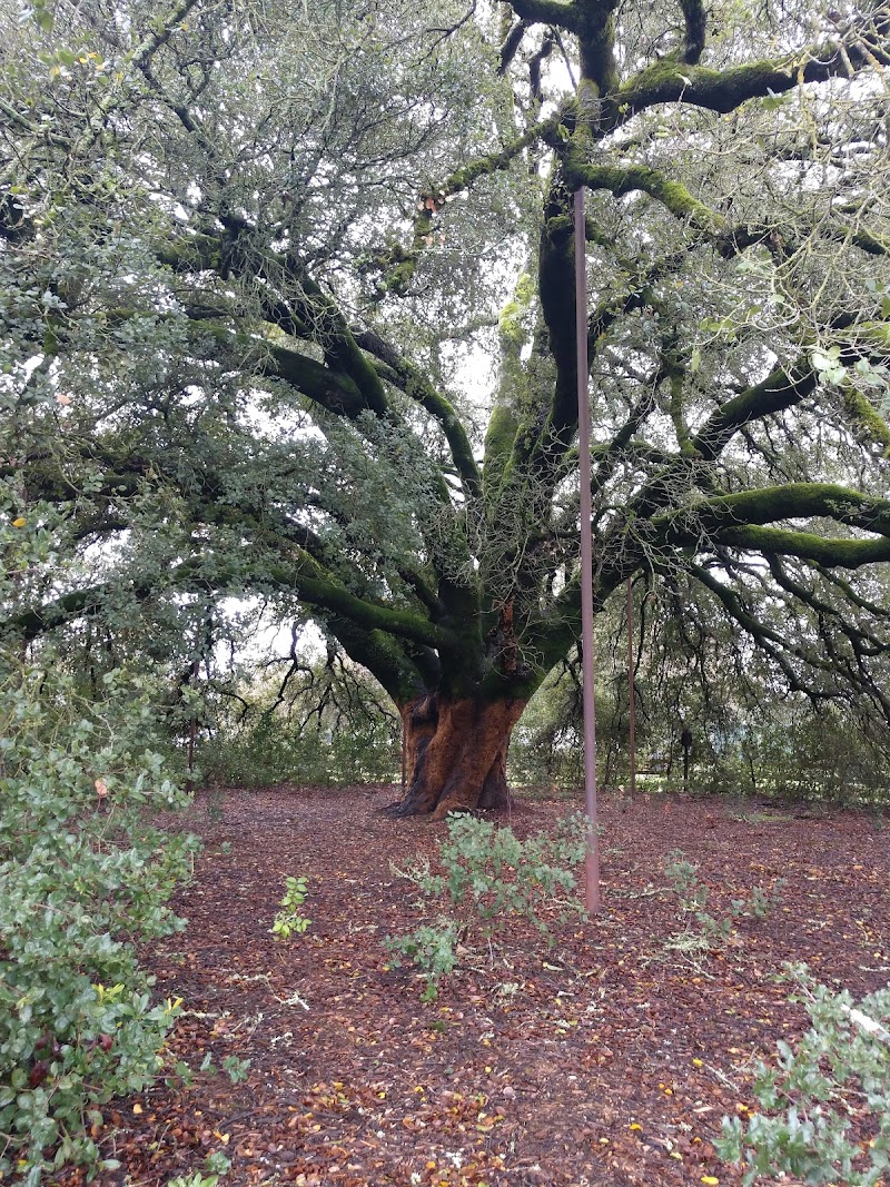 Esposti Park photo 3