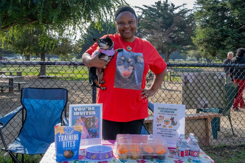 Photo of Pee-Wee Paws Small Dog Meetup
