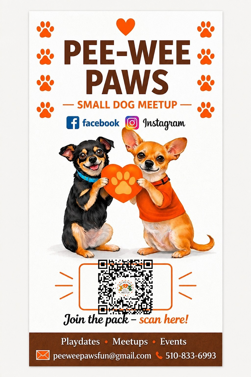 Pee-Wee Paws Small Dog Meetup photo 2