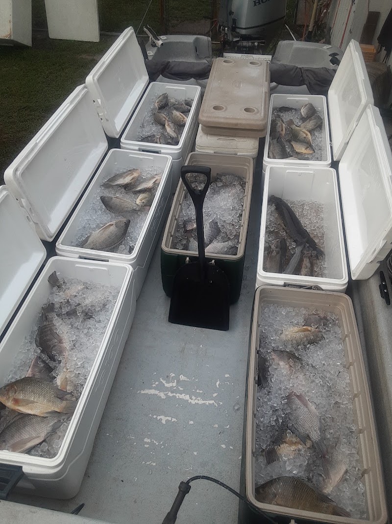 The Miss Fish photo 2
