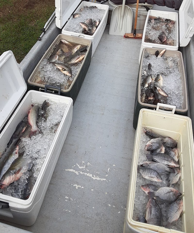 Photo of The Miss Fish