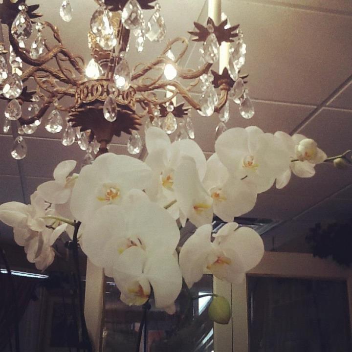 Photo of Privee Sanctuary Salon