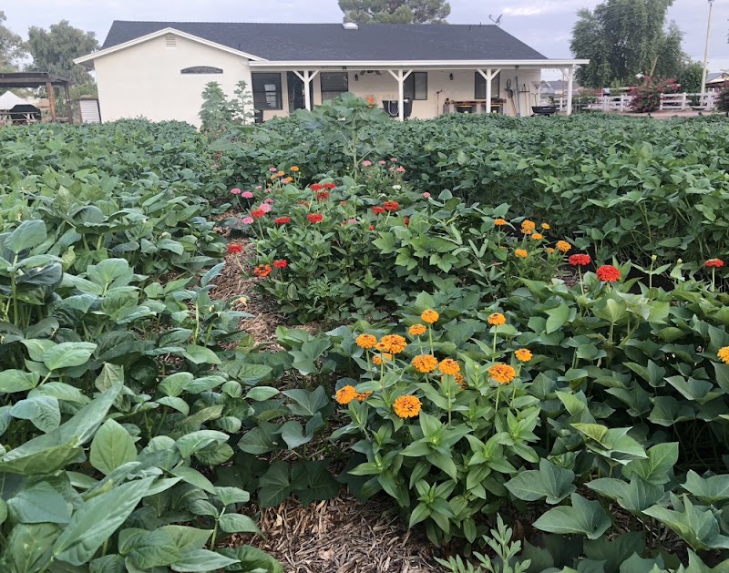 Growers Best Organics & Worm Farm photo 5