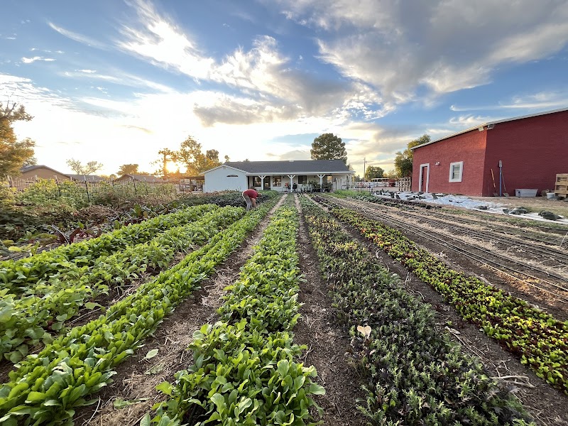 Growers Best Organics & Worm Farm photo 4