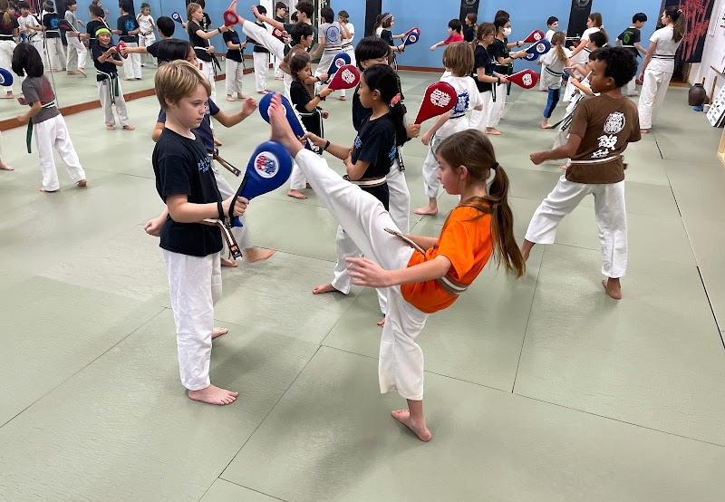 Mind Body Dojo photo 4