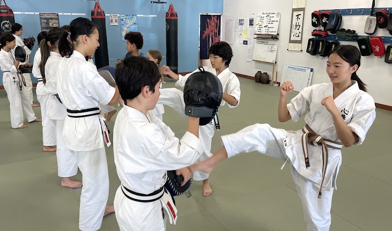 Mind Body Dojo photo 3