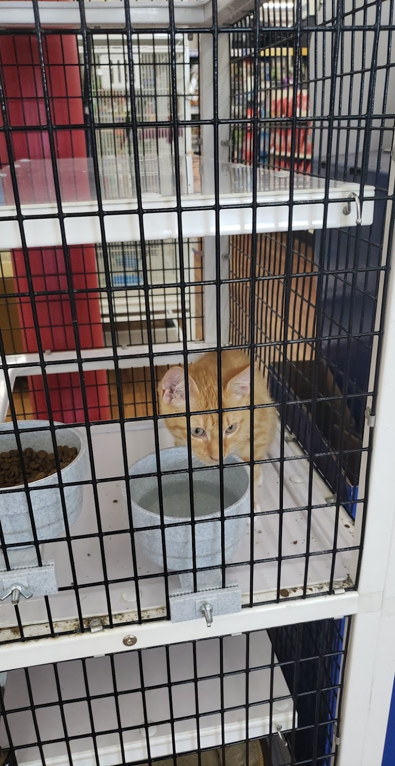 Pet Supermarket photo 3