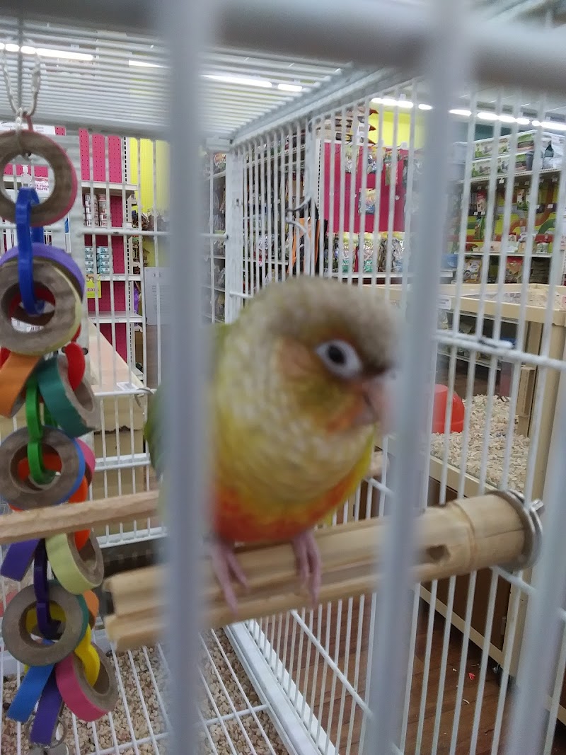 Pet Supermarket photo 4