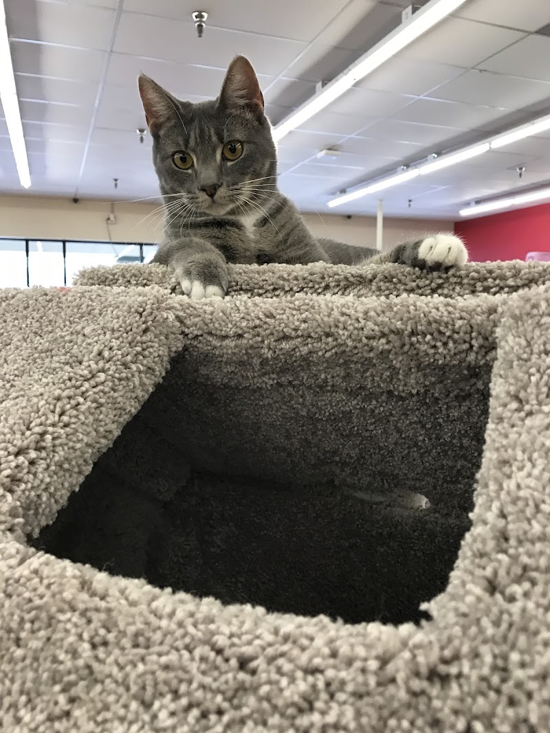 Pet Supermarket photo 5