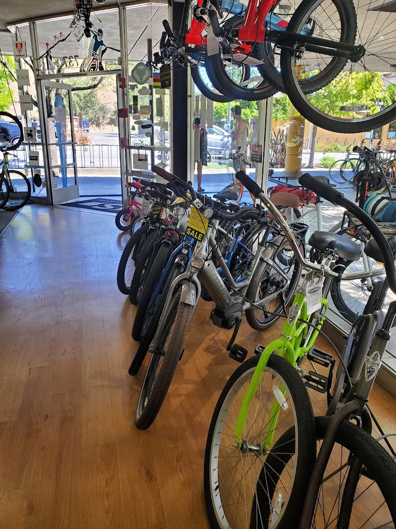 Sunshine Bicycle Center photo 3